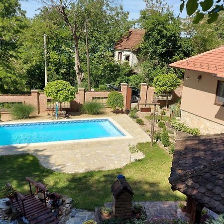 Etno Kuca Todorovic Villa Smederevo Bagian luar foto