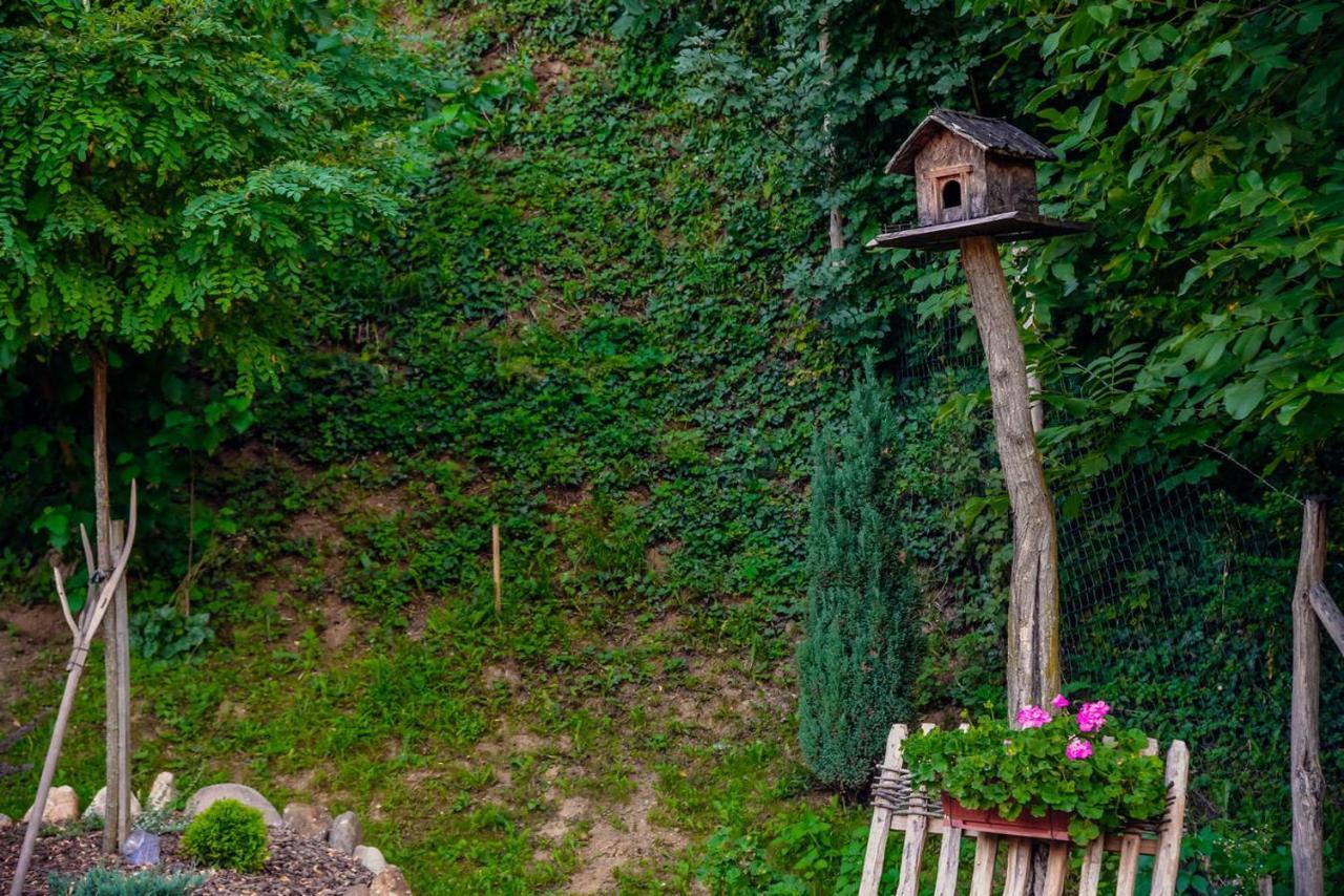 Etno Kuca Todorovic Villa Smederevo Bagian luar foto