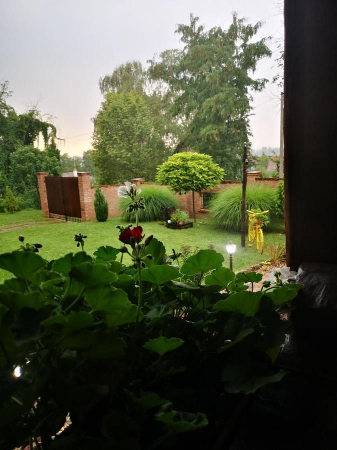 Etno Kuca Todorovic Villa Smederevo Bagian luar foto