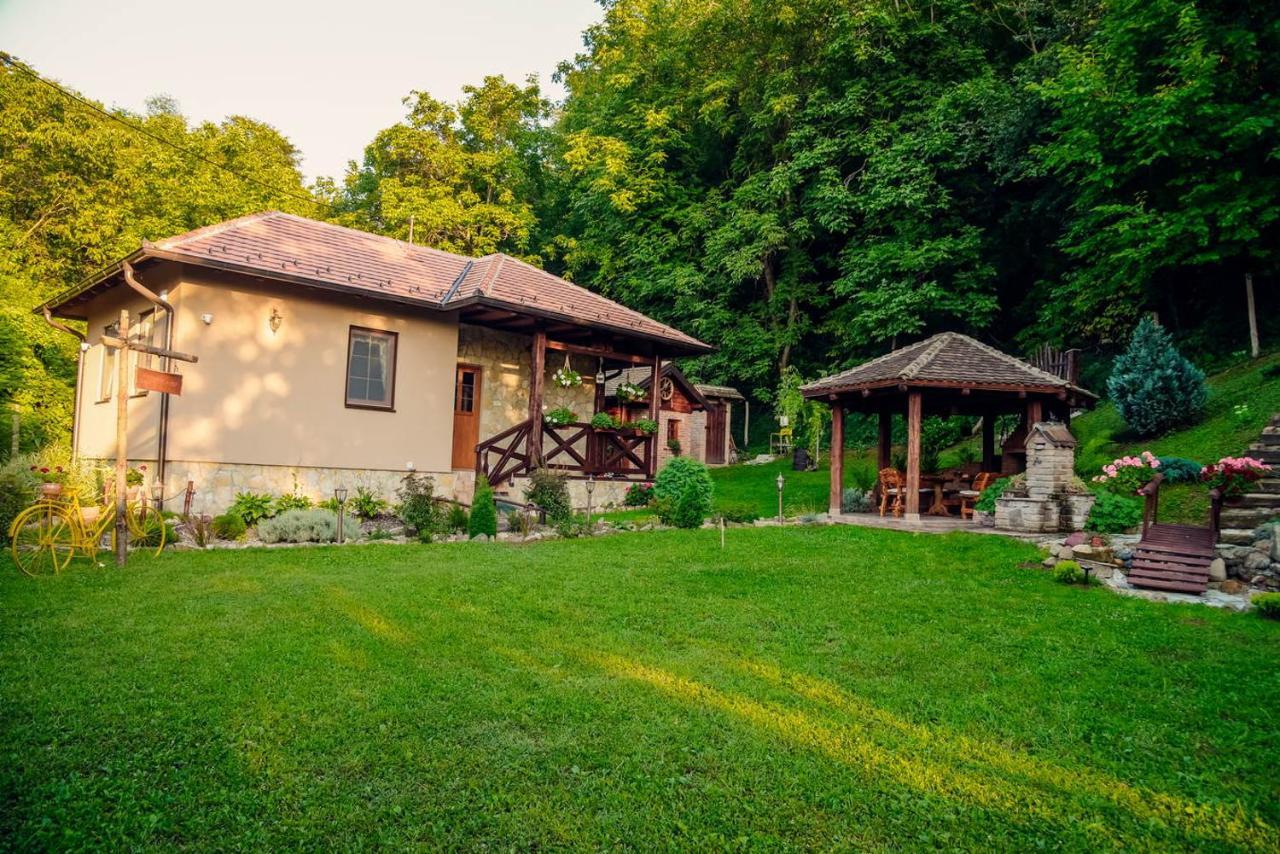 Etno Kuca Todorovic Villa Smederevo Bagian luar foto