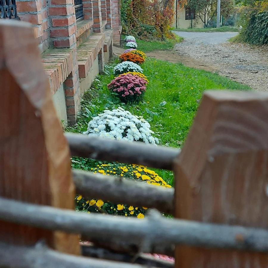 Etno Kuca Todorovic Villa Smederevo Bagian luar foto