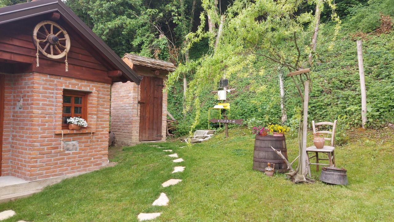 Etno Kuca Todorovic Villa Smederevo Bagian luar foto