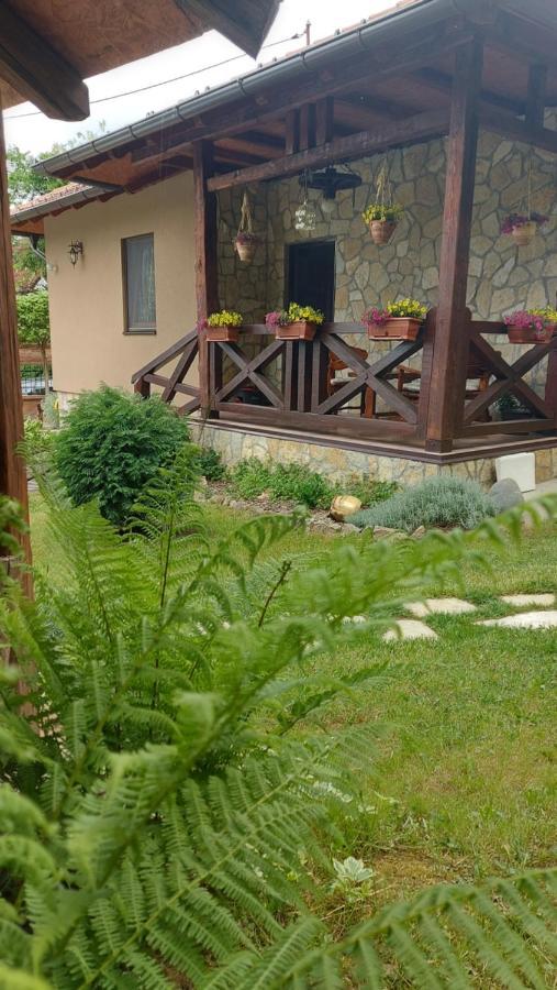 Etno Kuca Todorovic Villa Smederevo Bagian luar foto