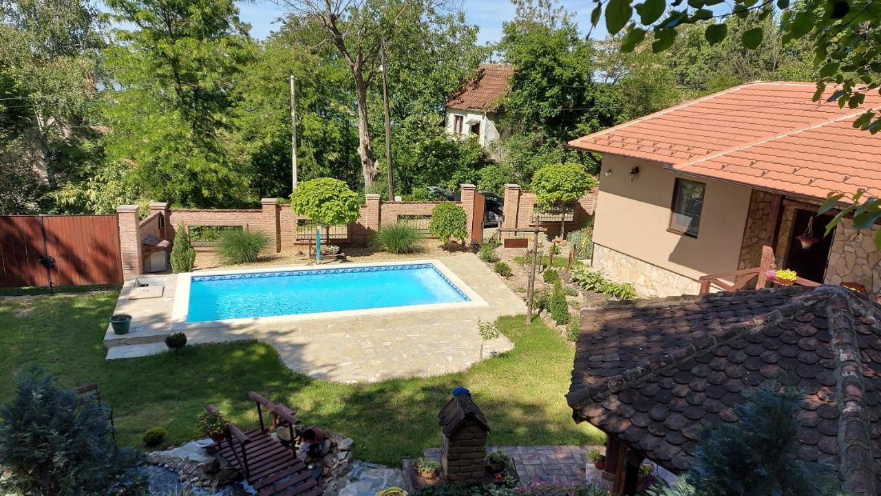 Etno Kuca Todorovic Villa Smederevo Bagian luar foto